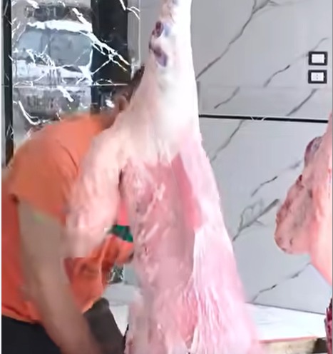 خمس خراف كانت مخصّصة لوليمة عرس، تحولت إلى وجبات إفطار صائم